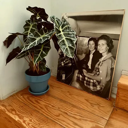 Хостел Goodnight Лиссабон