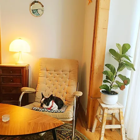 Goodnight بيت شباب *