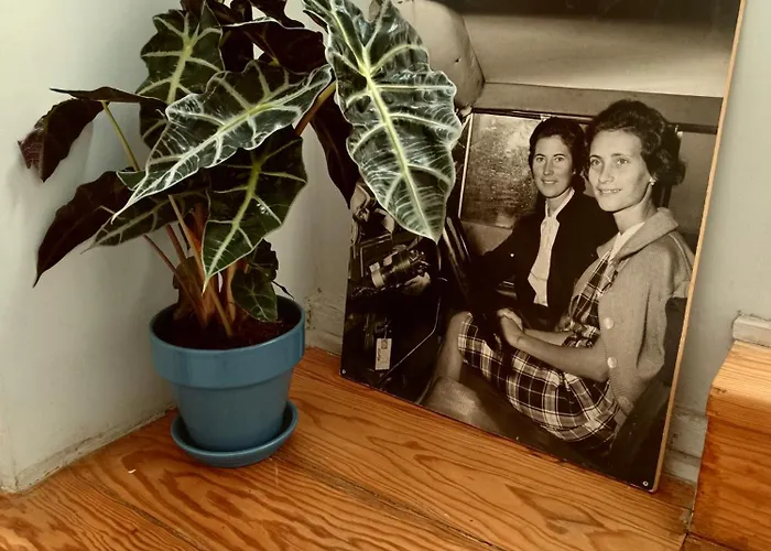 호스텔 굿나잇 리스본